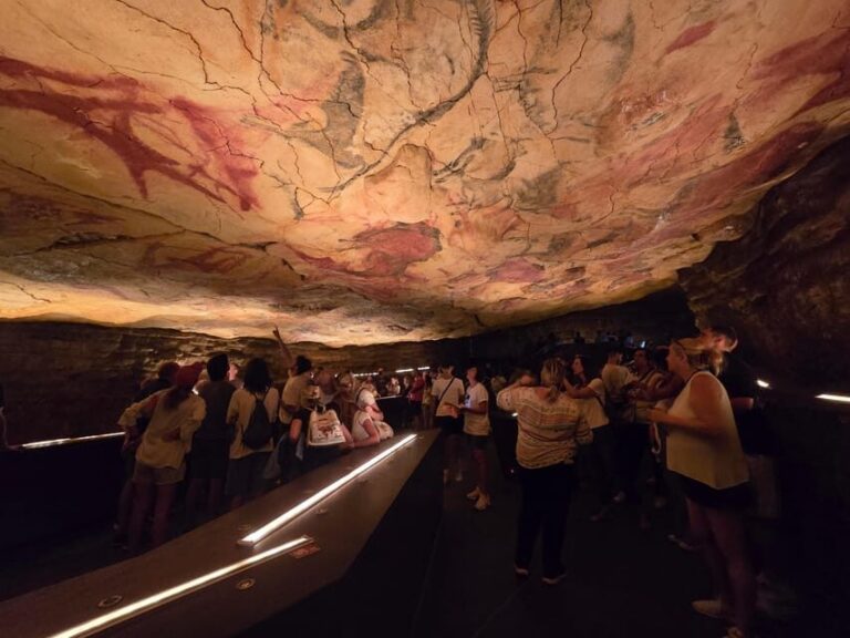 Private visit Altamira Museum and Neocave: the fascination of prehistory - Who Will Benefit Most?