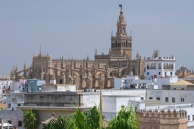 Private visit Cathedral and Royal Alcazares of Seville - Who Will Enjoy This Tour Most?