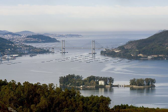 Private walking tour in Vigo - The Itinerary in Detail