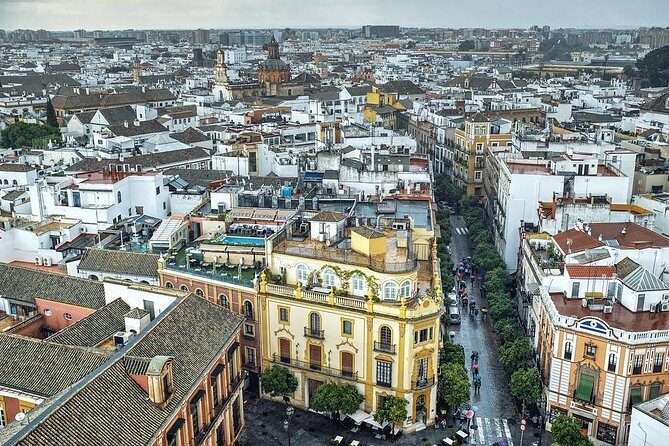 Private Walking Tour of Seville with tickets and local tour guide - Who Should Book This Tour?