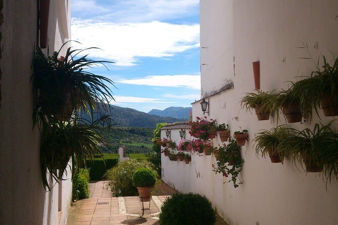 Private White Villages & Ronda Day Tour from Seville - Practical Details & Tips