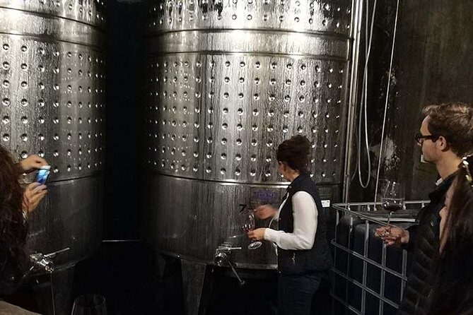 Private Wine & Cava Tasting Tour In Penedes with hotel pick up - The Transportation and Overall Experience