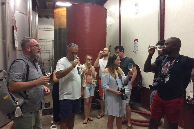 Private Wine day tour from Carcassonne and around. - Practical Details & What to Expect