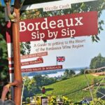 Private Wine Lovers Tour - Gorgeous Graves & Sauternes, discover the diversity - Practical Details: What to Expect
