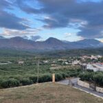 PRIVATE-Wine+ Olive Oil-Old Traditional Villages-Old Wind Mills - Who Will Love This Tour?