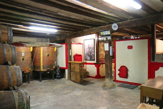 Private Wine Tasting in San Vicente de la Sonsierra - An In-Depth Look at the Private Wine Tasting Experience