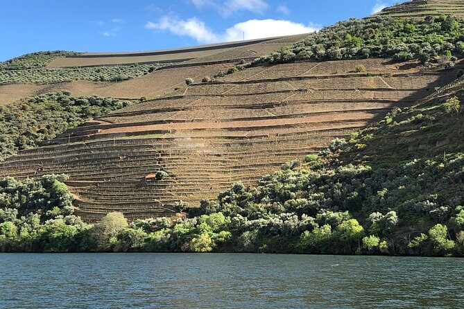 Private Wine Tour in the Douro Valley - Private wine tastings and lunch included - The Guide to the Tour Experience