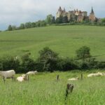 Private Wine Tour to Burgundy Region from Paris - What Could Be Better?