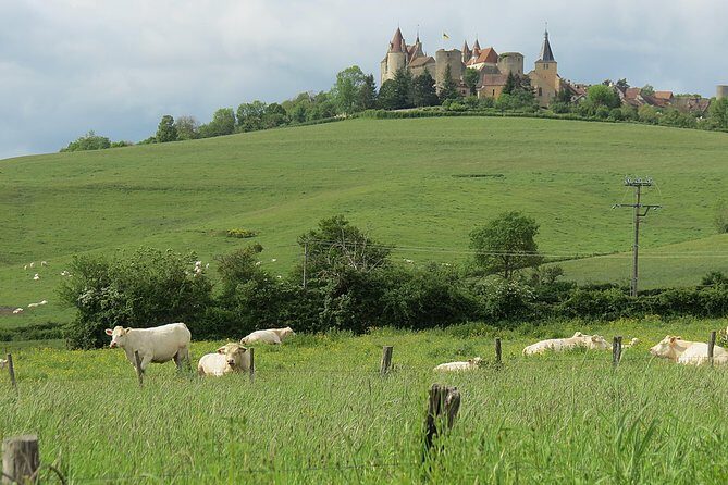 Private Wine Tour to Burgundy Region from Paris - What Could Be Better?