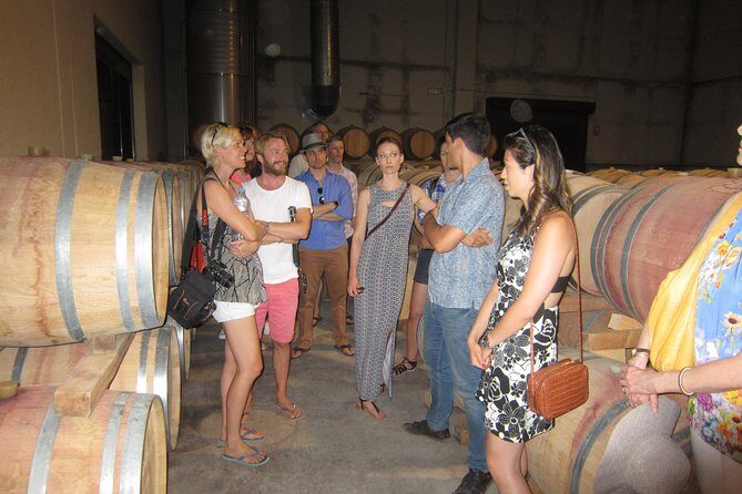 Private Wine Tour with Wine Tasting and Full Lunch (day trip) - Final Thoughts: Who Should Consider This Tour?