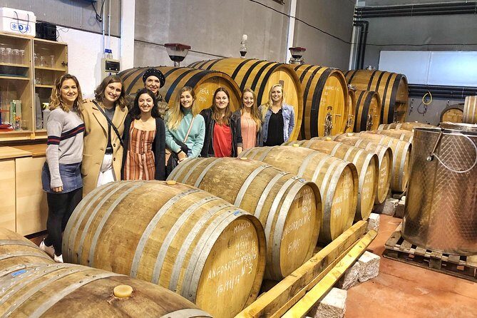 Private Winery Tour near Madrid with Sommelier (6-hour) - What Makes This Tour Stand Out?