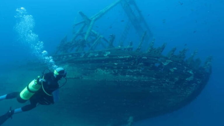 Professional Diving & Blue Cave Tour with Lunch from Split - What Makes This Tour Stand Out?
