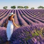 Provence and Lavender - private & Guided Full Day Tour - Frequently Asked Questions