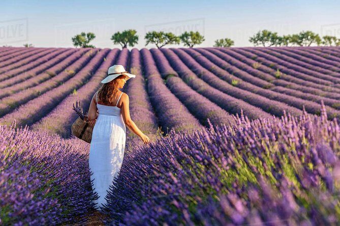 Provence and Lavender - private & Guided Full Day Tour - Frequently Asked Questions