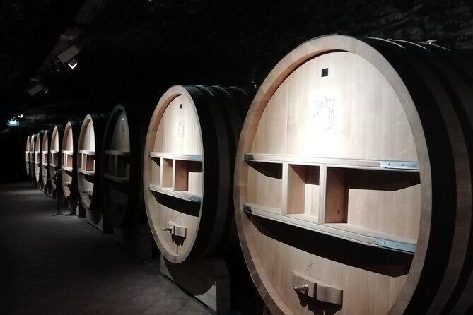 Provence Cru Wine Small-Group Half-Day Tour from Avignon - The Sum Up: Who Is It Best For?