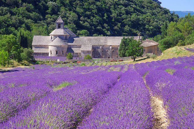 Provence Lavender Full Day Tour from Avignon - What Travelers Say: Authentic Experiences and Practicalities
