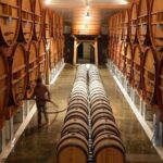 Provence Private Full Day Wine Tour with Wine Tasting - Who Will Love This Tour?