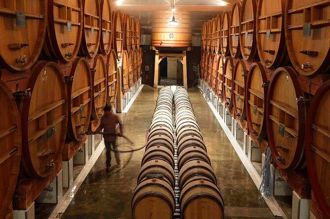 Provence Private Full Day Wine Tour with Wine Tasting - Who Will Love This Tour?