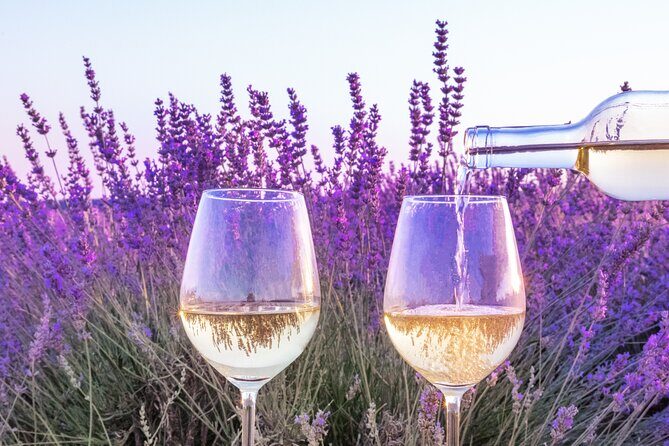 Provence small group half-day wine tour from Aix - Practical Details and Tips