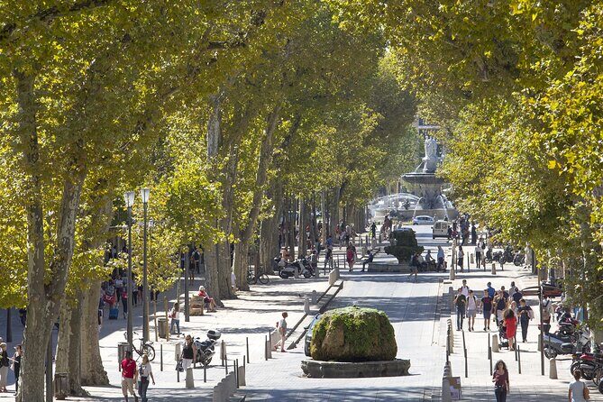 Provence, Vineyards and Lavender Fields Private Day Trip - What We Love About This Tour