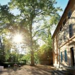 provence wine tasting - Who Would Love This Tour?