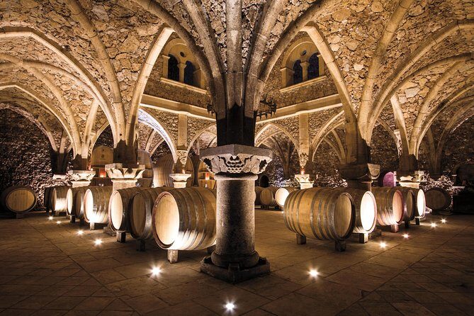 Provence Wine Tour - Private Day Tour from Nice - Who Should Consider This Tour?