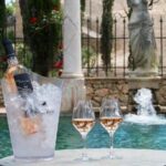 Provence Wine Tour - Small Group Tour from Nice - FAQ