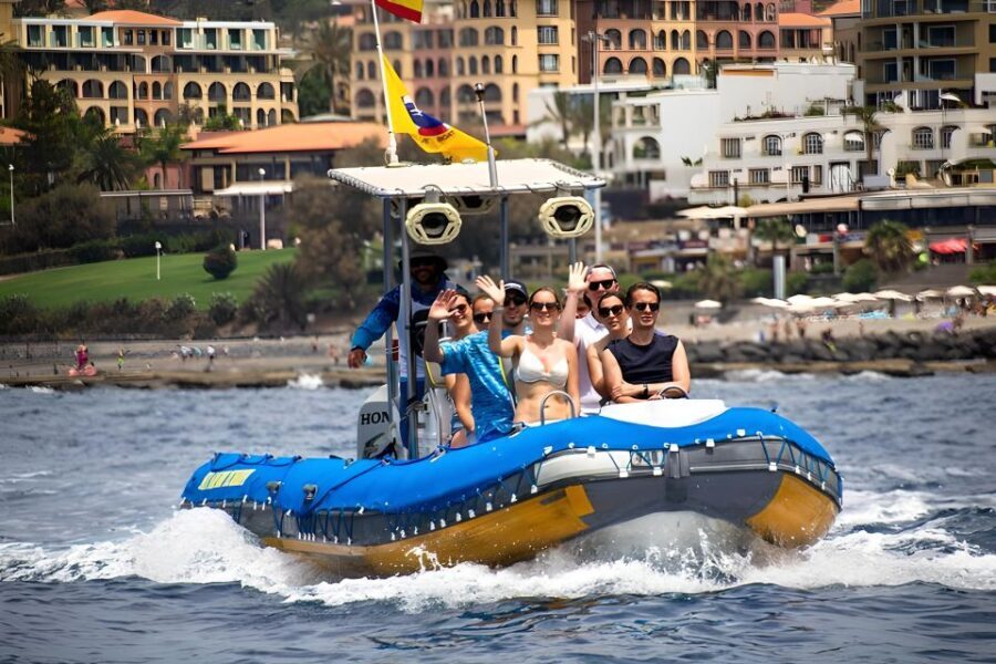 Puerto Colon: Dolphin and Whale Watching Speedboat Tour - Detailed Itinerary Breakdown