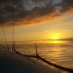 Puerto Colon: Whale-Watching Sailing Tour with Meal & a Swim - An In-Depth Look at the Experience
