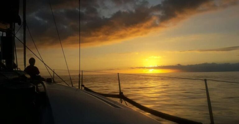 Puerto Colon: Whale-Watching Sailing Tour with Meal & a Swim - An In-Depth Look at the Experience