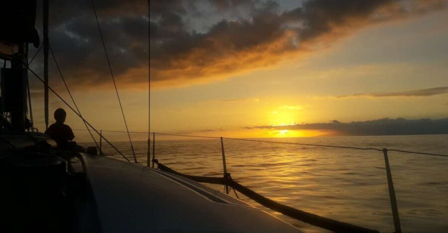 Puerto Colon: Whale-Watching Sailing Tour with Meal & a Swim - An In-Depth Look at the Experience