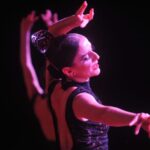 Puerto de la Cruz: Flamenco Show at Casa Ábaco with a Drink - A Deep Dive into the Flamenco Experience at Casa Ábaco