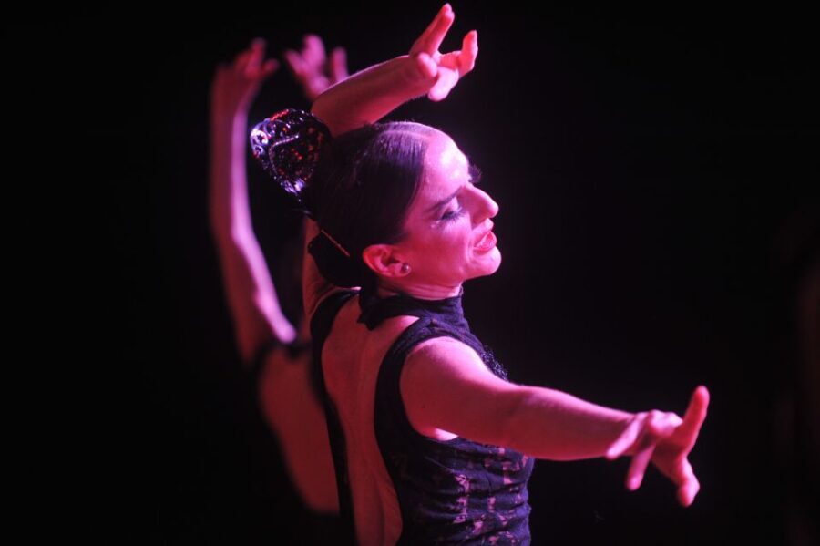Puerto de la Cruz: Flamenco Show at Casa Ábaco with a Drink - A Deep Dive into the Flamenco Experience at Casa Ábaco