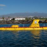 Puerto de la Cruz: Submarine Trip and Beach Stop in Tenerife - Who is This Tour Best For?