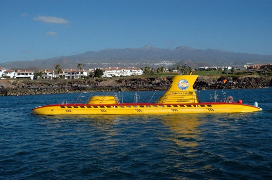 Puerto de la Cruz: Submarine Trip and Beach Stop in Tenerife - Who is This Tour Best For?
