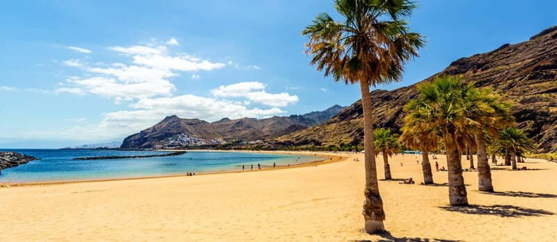 Puerto de la Cruz: VIP Getaway Tenerife Playa Teresitas, Science and Culture - Why This Tour Offers Great Value