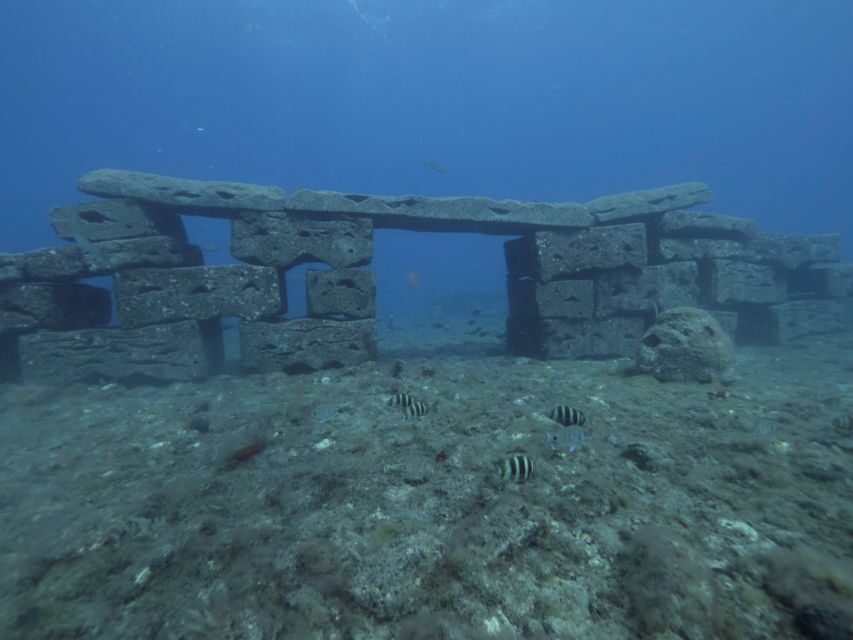 Puerto de Mogán: Submarine Tour - What Makes This Tour Stand Out