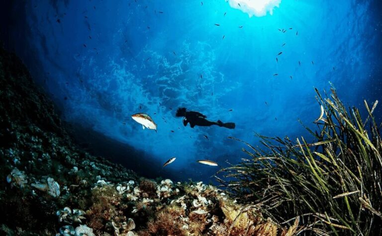Puerto de Soller: Train and Discover Scuba Diving - The Itinerary in Detail