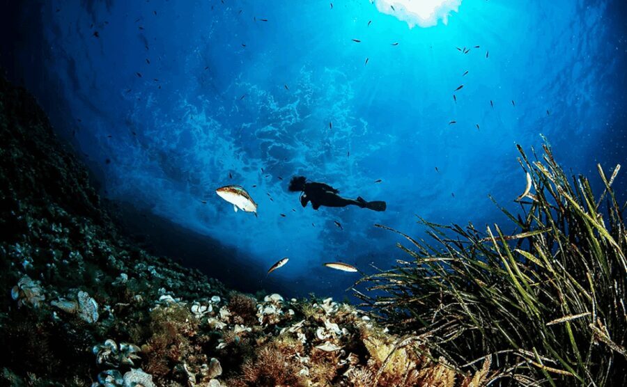 Puerto de Soller: Train and Discover Scuba Diving - The Itinerary in Detail