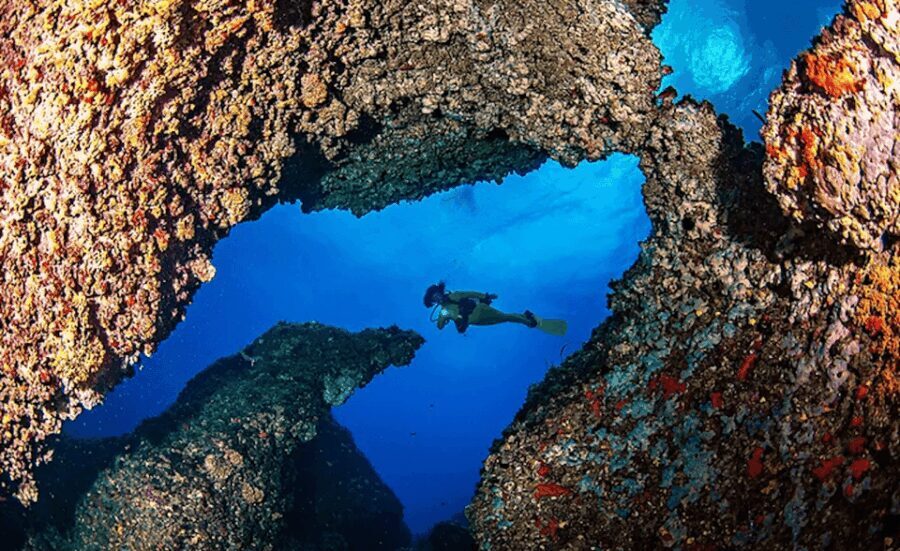 Puerto de Soller: Train and Guided Scuba Diving Experience - A Closer Look at the Experience