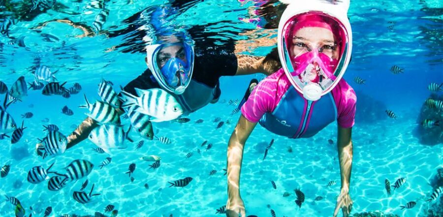 Puerto del Carmen: Dolphin-Watching Speedboat Tour with Swim - The Itinerary and What to Expect