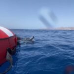 Puerto del Carmen: Freediving Try Dive in Pool or Open Water - Key Points