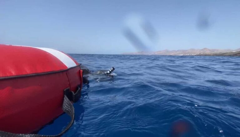 Puerto del Carmen: Freediving Try Dive in Pool or Open Water - Key Points