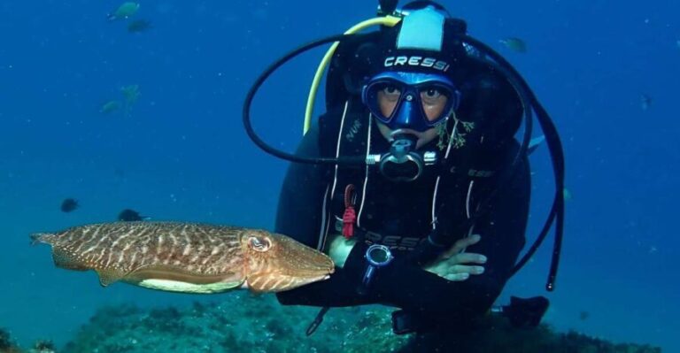 Puerto Del Carmen: Try Scuba Diving with 2 Dives and Photos - The Experience in Detail