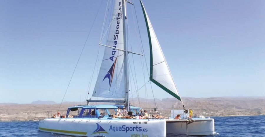 Puerto Rico: 4-Hour Catamaran Excursion in the South - Final Thoughts: Who Should Consider This Tour?
