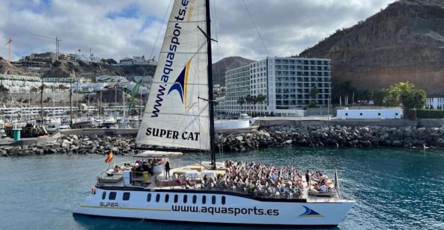 Puerto Rico de Gran Canaria: Premium Dolphin Catamaran Tour - The Real Traveler Experience — Authentic Feedback