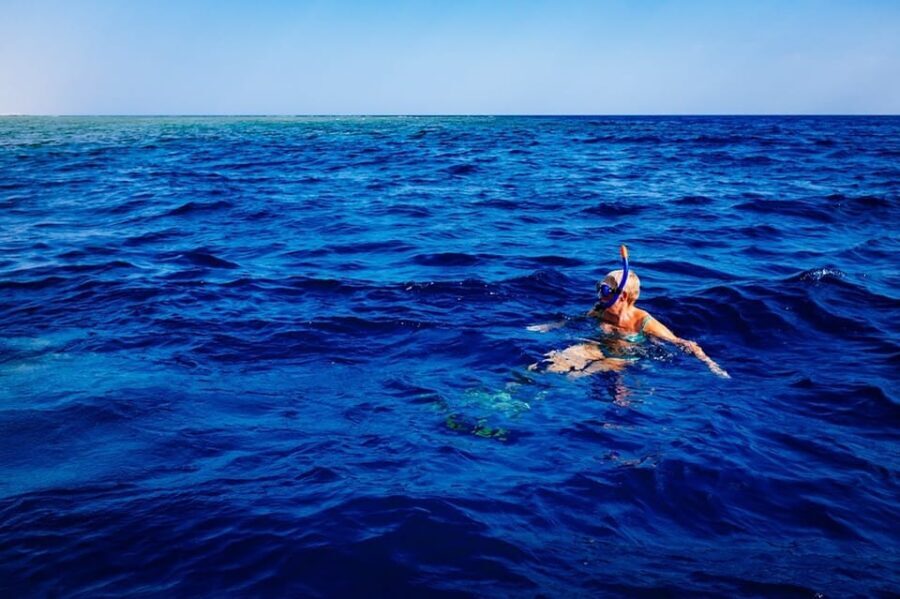Pula: 2.5-Hour Snorkelling Experience - The Experience: Pros and Cons