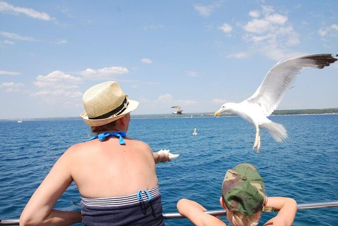 Pula: Boom Boat Party  Sunset Cruise, Drinks, DJ & After-Party - Who Should Consider This Tour?
