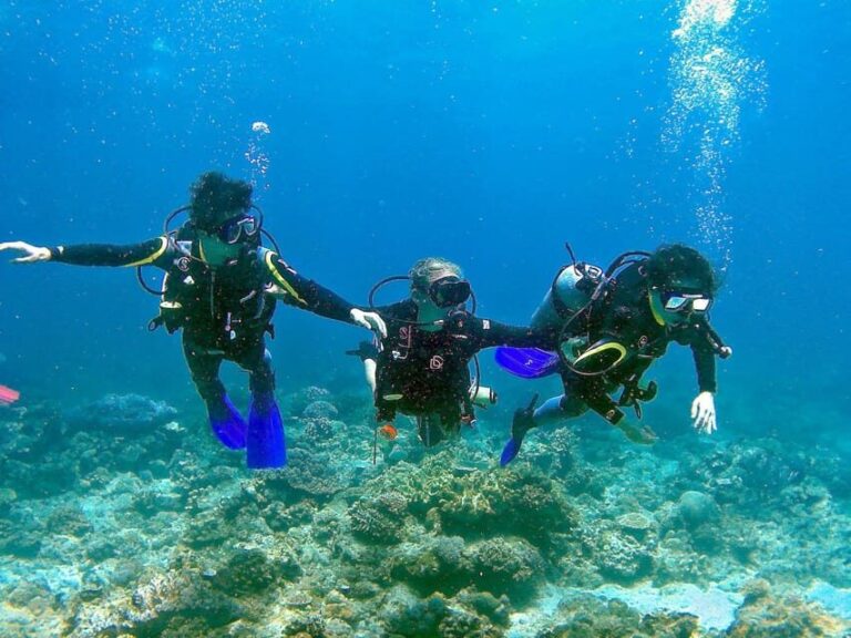 Pula: Introduction to Scuba Diving - What Sets This Tour Apart