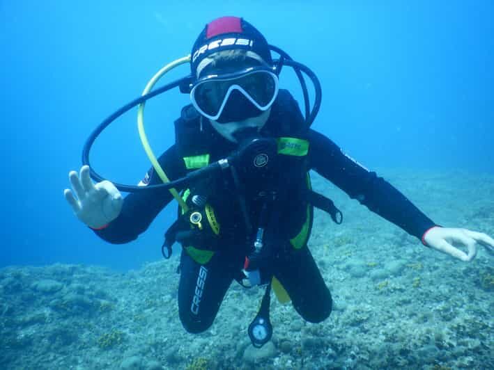 Pula: Introduction to Scuba Diving for Kids (age 8-10) - Why We Believe It’s a Good Value